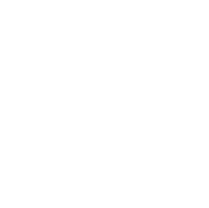 palm tree right